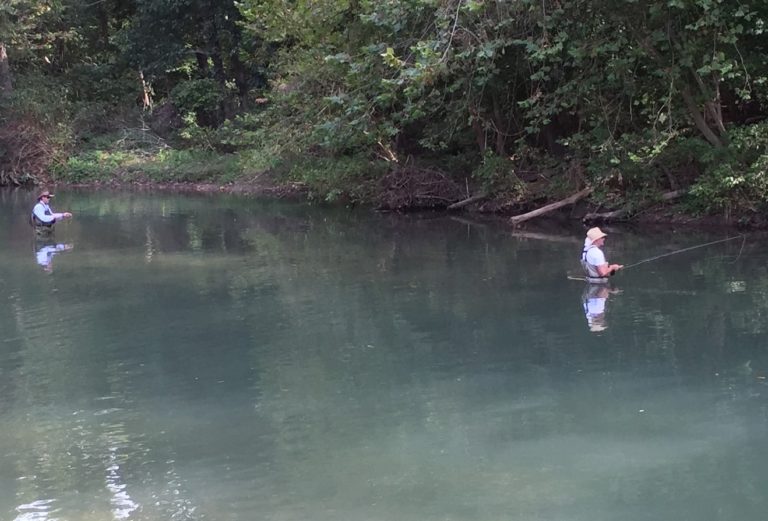 Fly Fishing Roaring River