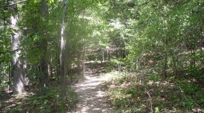 Hiking Roaring River Area