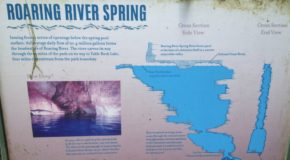 Roaring River State Park Fishing Hours