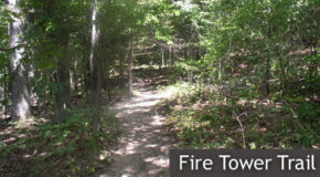 Fire Tower Trail