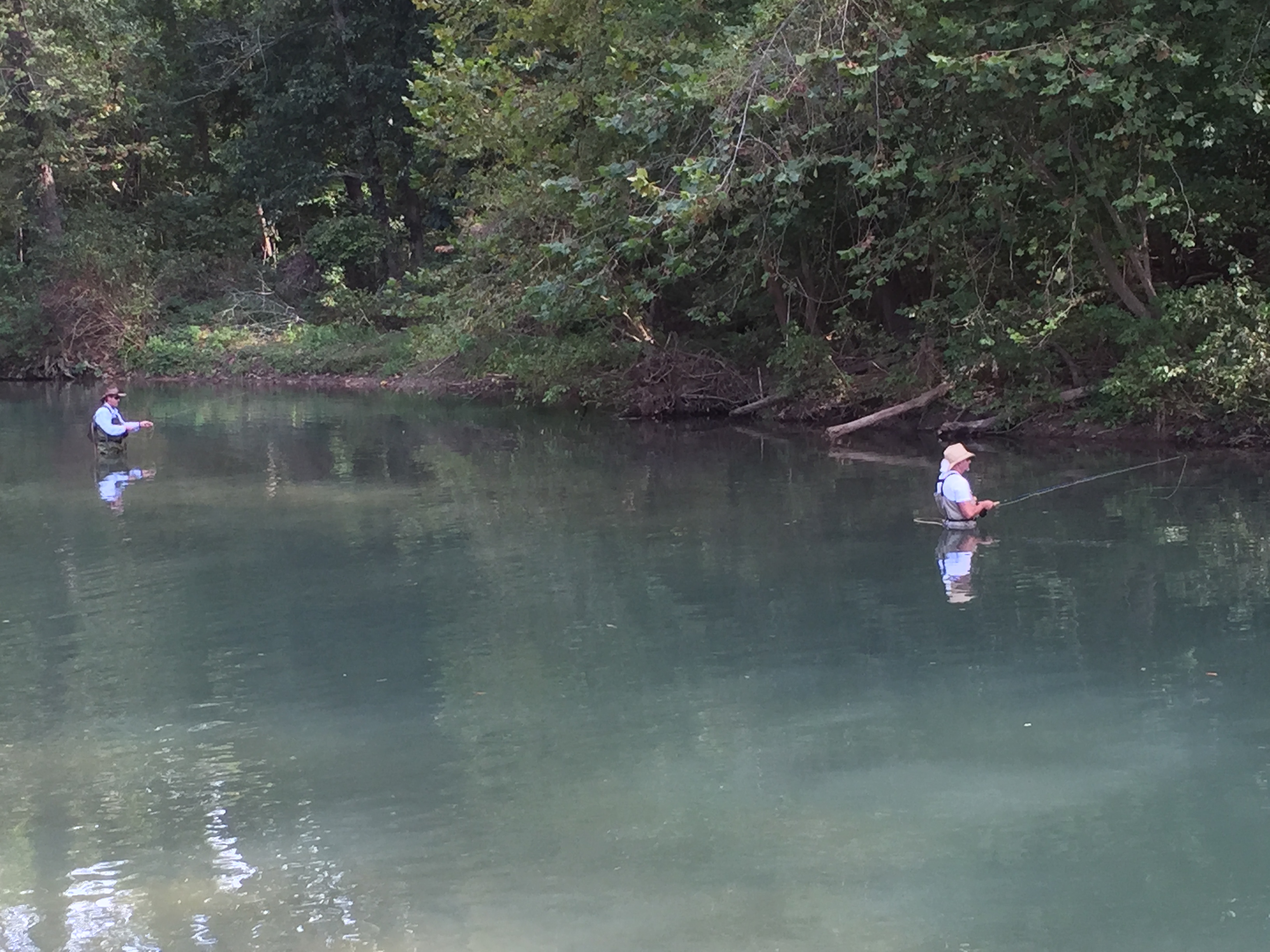Fishing on the Roaring River in the Ozarks – Missouri