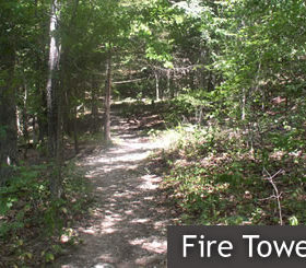 Fire Tower Trail